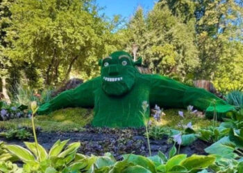 Ліквідація “Київзеленбуду”: петиція набрала необхідні голоси | ПРО ГОЛОВНЕ