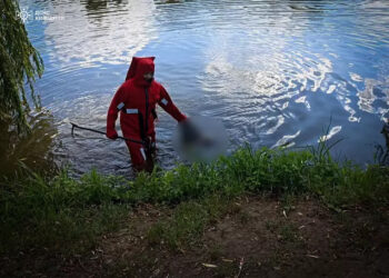 На Бучанщині із водойми дістали тіло потопельника
