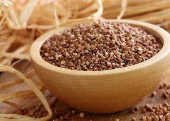 На Київщині відкриють лінію з виробництва пропареної гречки