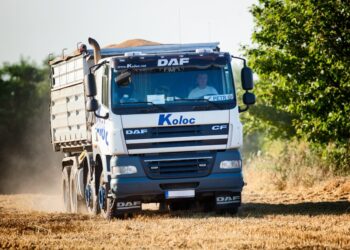 Перевезення врожаю під час жнив 2025: логістика, документи та як уникнути штрафів