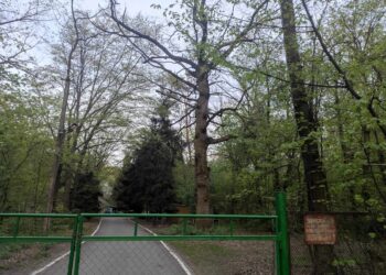 Петиція набрала голоси: Кияни вимагають захистити урочище “Теремки” від забудови | ПРО ГОЛОВНЕ