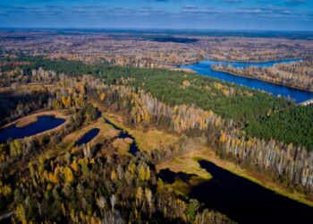 Під час гідробіологічних досліджень біля ЧАЕС знайшли рідкісні види
