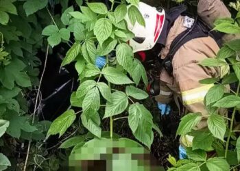 Рятувальники дістали тіло потопельника з водойми в Обухові