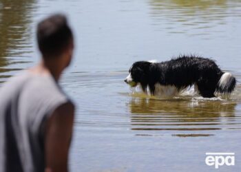 Спека піде з України. Синоптикиня назвала дату