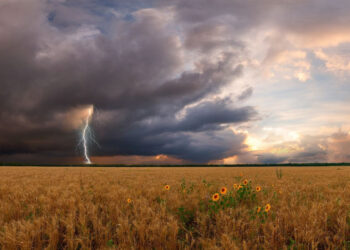 Стало відомо, що спричинило підвищення рівня озону в Іванкові