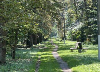 У Згурівському дендропарку створять “Маршрут здоров’я”