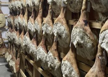 Єдине в Україні виробництво прошуто працює на Київщині