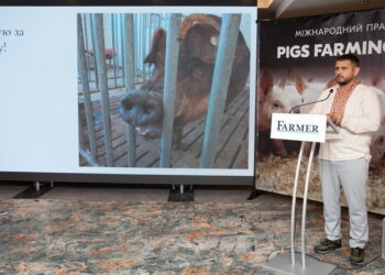 Останні дні для реєстрації на форум «Pigs Farming Industry» – Економіка