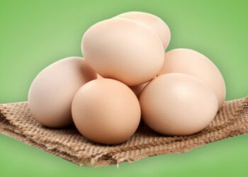 Яйця в липні подорожчали на 1,6% – Економіка