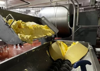 У липні виробники вершкового масла підняли ціни на 3,8% – Економіка