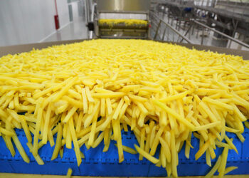 Потейто Агро екс-нардепа Сергія Терещука будує завод із виробництва картоплі фрі за $110 млн Економіка