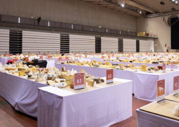 До 1 вересня від сироварів приймають заявки на участь у конкурсі World Cheese Awards 2025 – Економіка