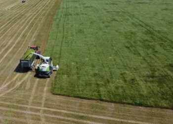 «Агрейн» зберігає частину люцернового сінажу у полімерних рукавах – Економіка