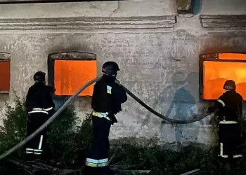 На Дніпропетровщині загинула худоба через атаку БпЛА – Економіка