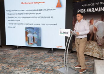 На форумі «Pigs Farming Industry» представлять дієві сучасні рішення для здоров’я свиней – Економіка