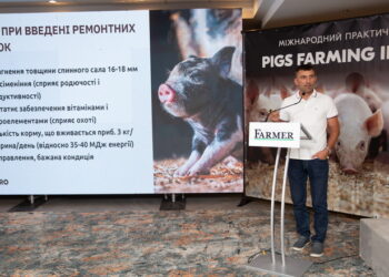 Дієві й нестандартні практики управління у свинарстві представлять на форумі «Pigs Farming Industry» – Економіка