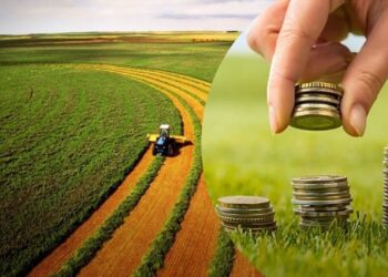 БЕБ забезпечила відшкодування понад 11 млн грн збитків від ухилення від земельного податку