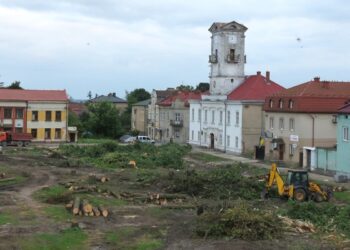 Біля Львова зрізали понад 70 дерев для реконструкції скверу  | ПРО ГОЛОВНЕ
