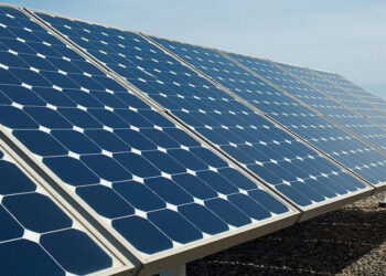 «Пан Курчак» інвестує в сонячні електростанції – Економіка