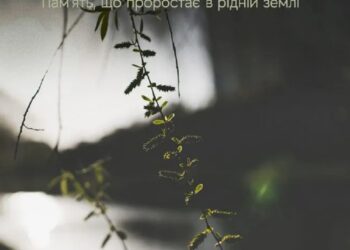 Дерева пам’яті: в Ірпені створять живий меморіал загиблим у війні