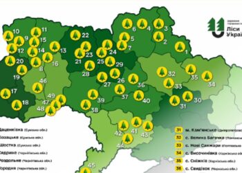 До кінця року на Київщині облаштують 5 нових рекреаційних пунктів
