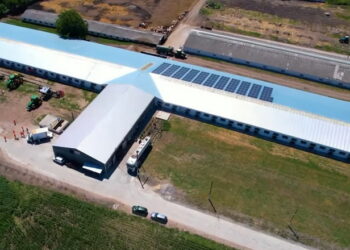 МХП інвестував 2,3 млн у реконструкцію молочної ферми – Економіка