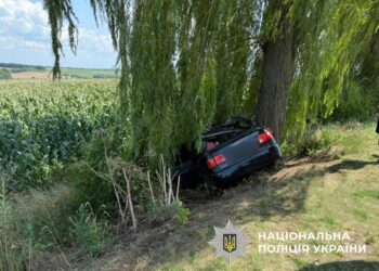На Білоцерківщині у ДТП загинув 11-річний хлопчик