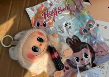 На Закарпатті зупинили фуру контрафактних Лабубу. До кого вони їхали