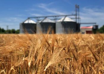 Одеський припортовий завод призупинив перевалку зерна |