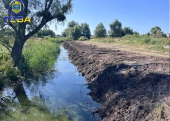 У Гостомелі комунальники розчищають річку Рокач