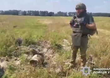 У полі на Броварщині виявили бойову частину ворожого БпЛА