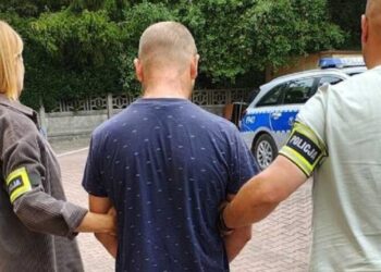 У Польщі за вбивство рідного брата затримали українця: загрожує довічне – СВІТ