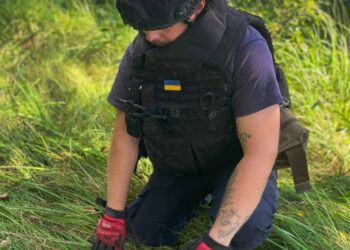 В Ірпені чоловік натрапив на гранати під час косіння трави