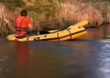 Знесиленого собаку з річки дістали рятувальники в Ірпені