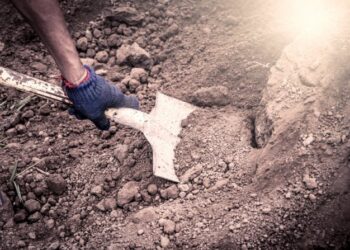 Чоловік закопав тіло співмешканки в лісі: вирок суду