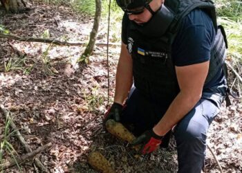 На Київщині грибник знайшов три мінометні міни