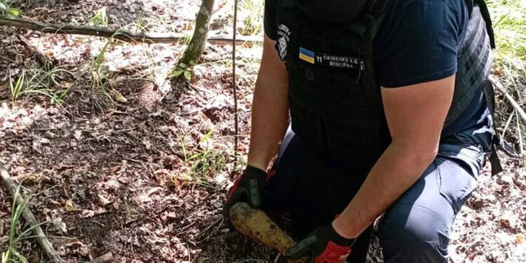На Київщині грибник знайшов три мінометні міни