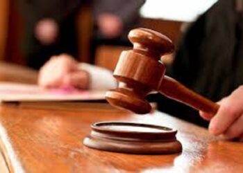 На Київщині прокуратура домоглася повернення громаді 40 га землі