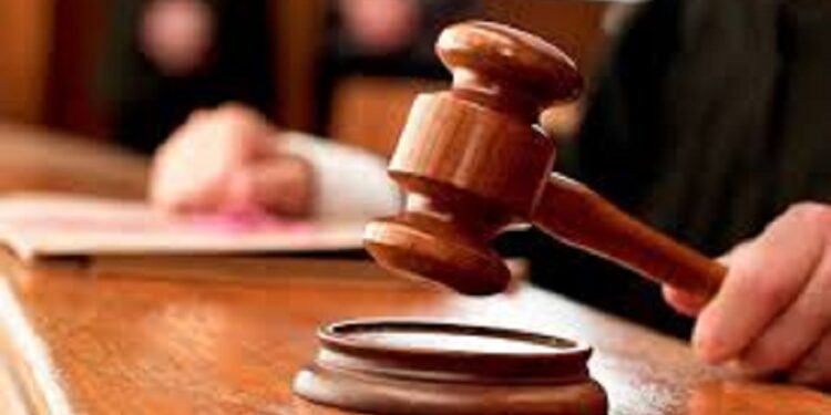 На Київщині прокуратура домоглася повернення громаді 40 га землі