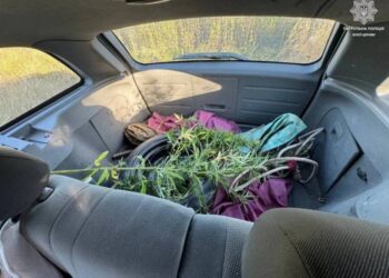 На Сквирщині нетверезий водій перевозив наркотики в авто