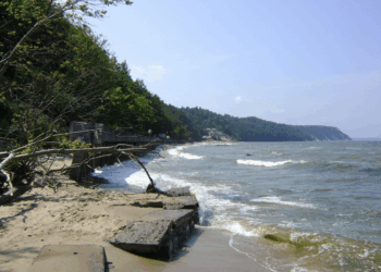 Неподалік польсько-російського кордону знайшли труп чоловіка без голови – СВІТ