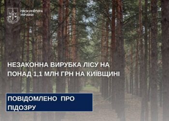 Незаконна вирубка лісу на понад 1,1 млн грн – на Київщині службовій особі повідомлено про підозру
