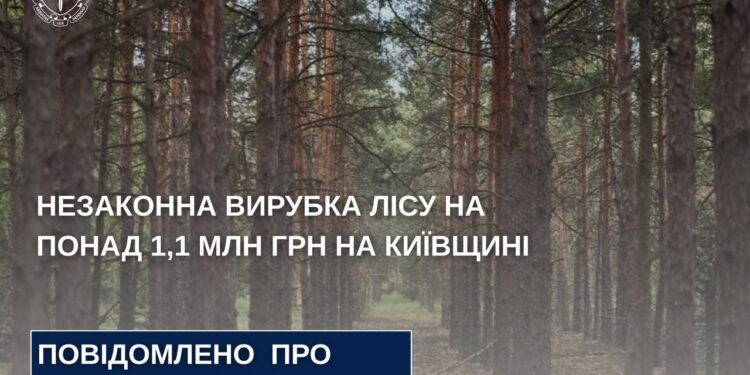 Незаконна вирубка лісу на понад 1,1 млн грн – на Київщині службовій особі повідомлено про підозру