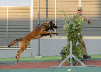 У Київській області відкрили сучасний кінологічний центр європейського рівня