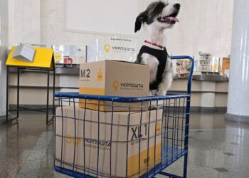 В “Укрпошті” оголосили, що розведуть “пенсіонерів і хіпстерів” по різних “кутах рингу”