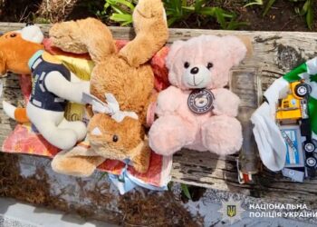 Вандалізм на кладовищі “Сухий Яр”: жінка крала іграшки з могил Героїв