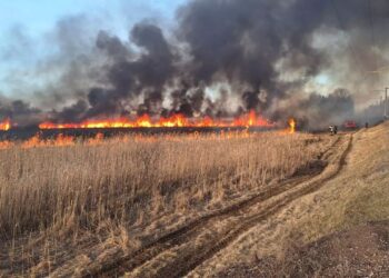 Заборонено і небезпечно: поліція нагадує про відповідальність за спалювання трави та сміття