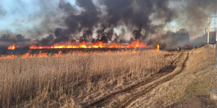 Заборонено і небезпечно: поліція нагадує про відповідальність за спалювання трави та сміття