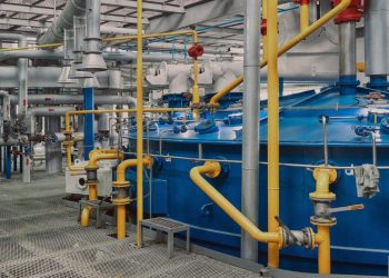«Люкс-Ойл» реконструює олійноекстракційний завод у Миколаївській області Економіка