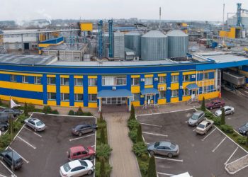 «Королівський Смак» інвестує в переробку олійних культур та будівництво ТЕС на біомасі Економіка